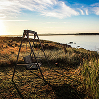 快速检测漏洞的短信轰炸机