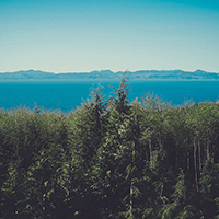 手机号在线压测平台