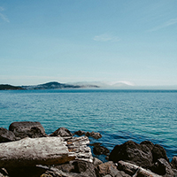 手机号自动轰炸