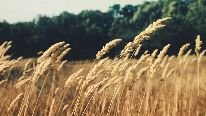 自动拨号软件连续呼叫