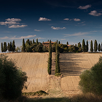 卡密商城直营的呼死你软件下载
